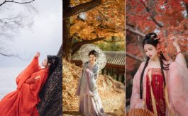 九疑 合集下载-绅士网