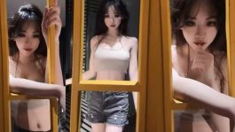 取zher有道大白菜 合集下载-绅士网